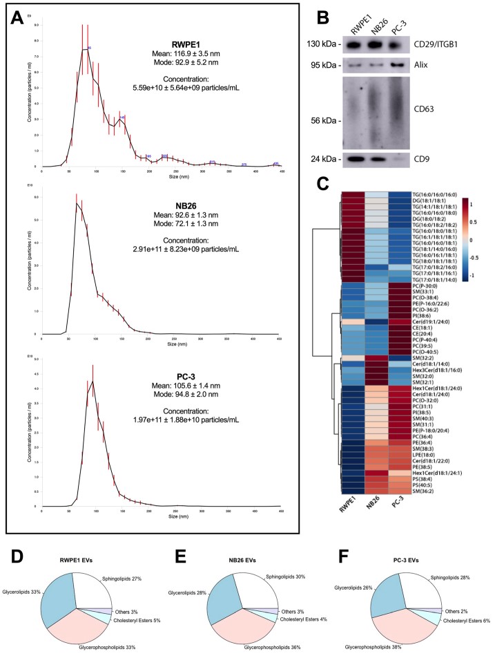 LDH Cytotoxicity Assay